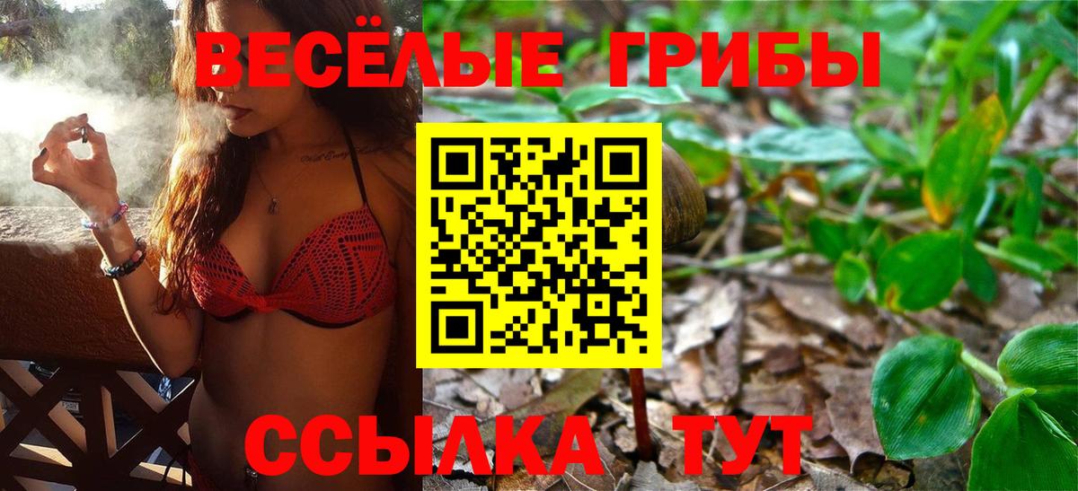 Псилоцибиновые грибы Magic Shrooms  Вход с VPN  Псилоцибиновые грибы мухоморы  Ноябрьск 